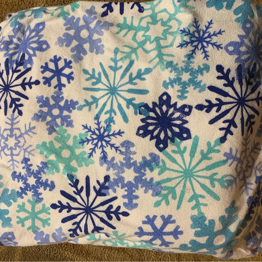 Twin Flannel Sheet Set